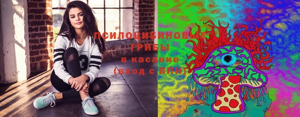 гидропоника Белоозёрский