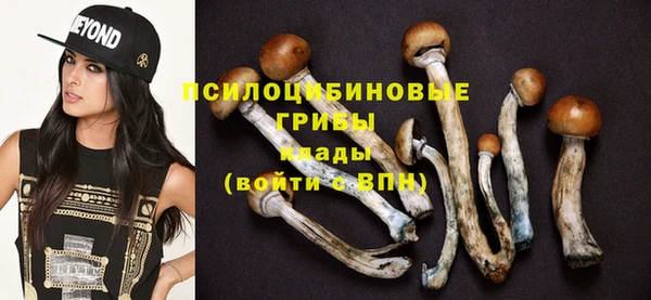 гидропоника Белоозёрский