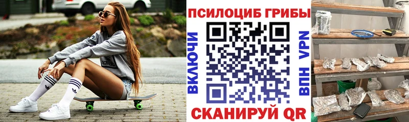 цены Реж Галлюциногенные грибы мицелий